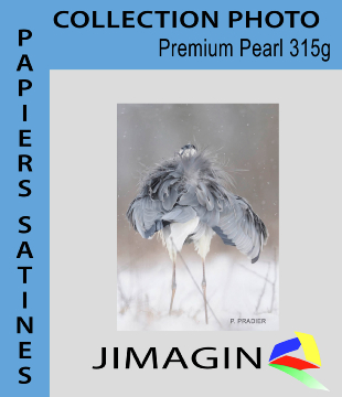 Premium Pearl 315g A3+ 25feuilles